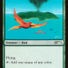 Birds of Paradise