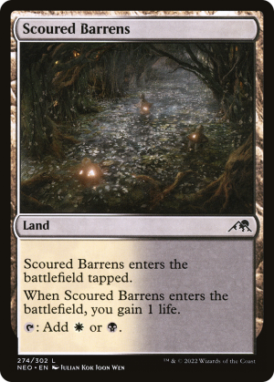 00538414-90f3-41da-b67e-d81cfa643de3 Scoured Barrens