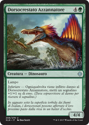 00a0ebc6-a00b-4fc0-877e-5c095a78fe93 Snapping Sailback