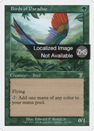 0137e0f2-6930-4a5f-ae26-62cf8c0266c8 Birds of Paradise