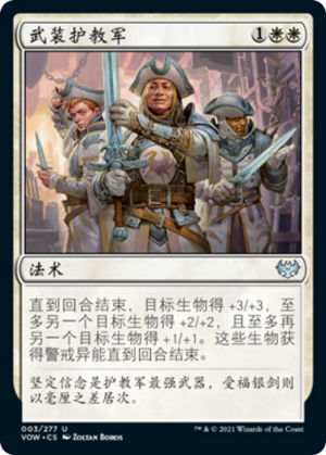 0151be7f-e9d1-4eae-b21d-f5fa3c10a327 Arm the Cathars