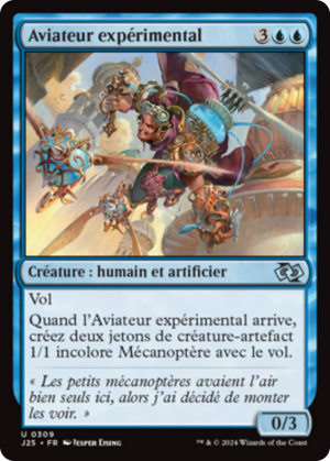 Experimental Aviator