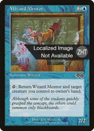 01842f86-c87b-4248-9696-7ce9e1a49b29 Wizard Mentor