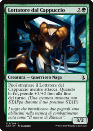 018df135-0a0e-4961-b791-08659557f5e3 Hooded Brawler