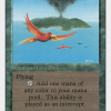 Birds of Paradise