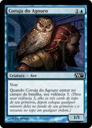 021d0be3-d615-43d0-8b48-aa71858de17b Augury Owl