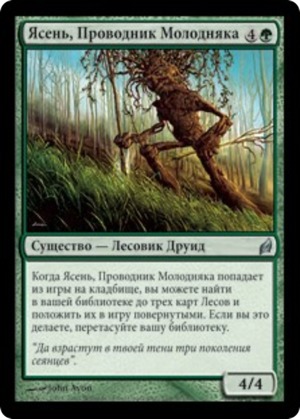 025e22bf-6e21-477e-865e-fe0aa1f71027 Seedguide Ash