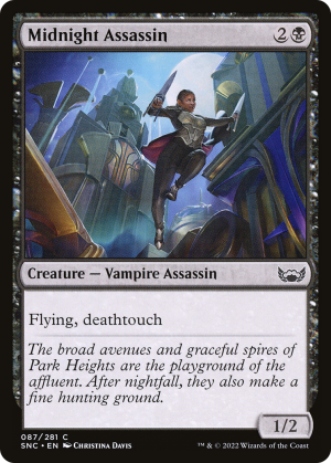 02a4a5b3-0477-4709-8bce-3e01f54001b6-1 Midnight Assassin