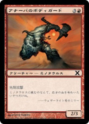 02d6114b-43a0-4243-b2d1-868b2064e247 Anaba Bodyguard