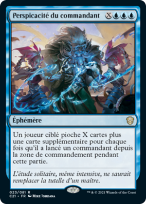 0565dfed-e0d3-4bdb-a027-de6a4affac7f Commander's Insight