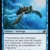 05d42cb7-c0ee-40ea-89c9-68aae5077216 Aegis Turtle