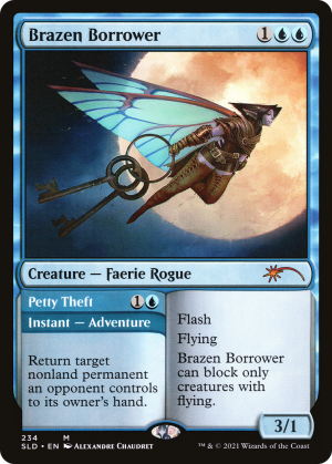 06251176-d20f-4960-ac73-135e44b77c83 Brazen Borrower // Petty Theft