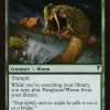 Panglacial Wurm