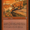 Scarred Puma