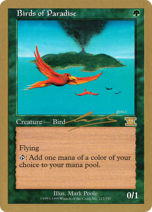 06ee339e-a912-4f7c-b091-eba71ab68bbc Birds of Paradise