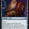 Augury Owl
