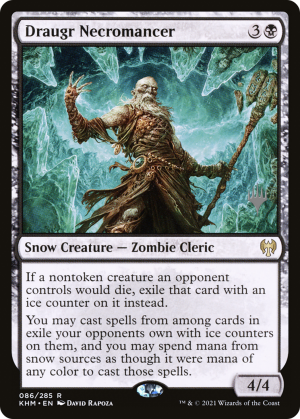 0a918f05-23cf-4d3a-b21a-dc4539f7fb95 Draugr Necromancer