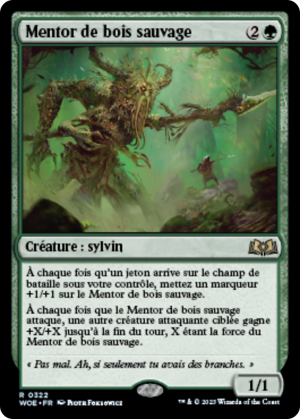 0acf43eb-d4c9-4864-9780-6ed5e51eb481 Wildwood Mentor