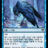 Augury Raven