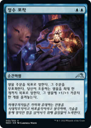 0bbd39ec-7302-47d8-9b92-31941f46d743 Essence Capture