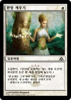 0bdee785-d256-4012-b8c5-a102e22bb2a5 Wake the Reflections