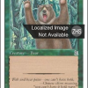 0c9e5526-23a7-4ea1-ac2c-3560d0ab67dc Forest Bear