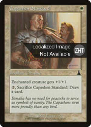 0ccdf2b3-5de8-425c-9282-152bafcb4306 Capashen Standard