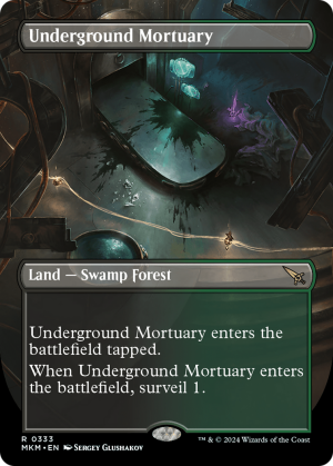 0d8938e4-bfa5-47e1-8c71-9c6583346300 Underground Mortuary