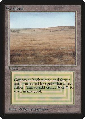 0e9aeaa8-9a75-4719-992f-cbb316f72175 Savannah