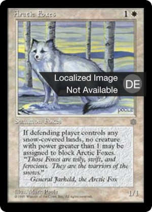 0ee7d407-8cfa-4cdd-8f61-3cb068c41765 Arctic Foxes