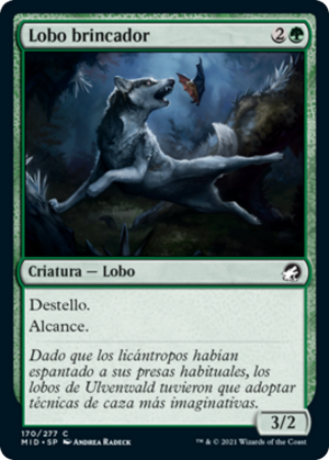 0fb50e97-a02f-43b0-8dfa-fc902d4d4e91 Bounding Wolf