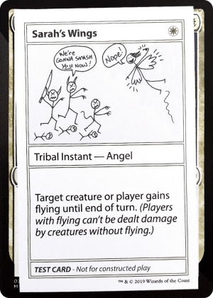 0fbda632-3b01-4bf4-9170-f10faa12a0ee Sarah's Wings