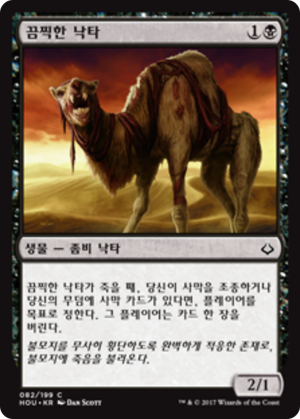 0fc70981-7bc0-4591-8a69-6bbd0ac9c0eb Wretched Camel
