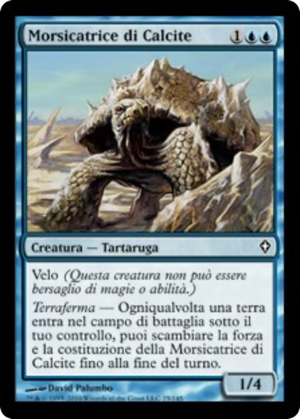 10b0ca0d-2c8e-42b8-a945-a24a2947fd73 Calcite Snapper