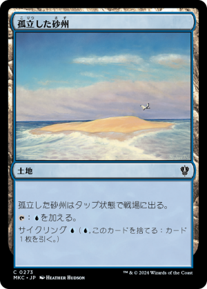 12f5ffae-380c-440d-a664-8a9ea9bd7016 Lonely Sandbar