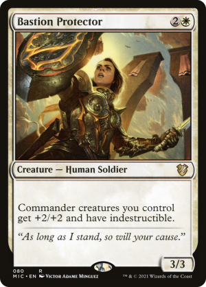 1480725e-efad-45e8-b46c-8a1d8da661aa Bastion Protector