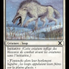 Tundra Wolves