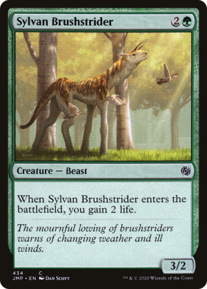 16482e12-7a8d-4999-8438-da227e6d1305 Sylvan Brushstrider