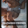 Feathered Friends