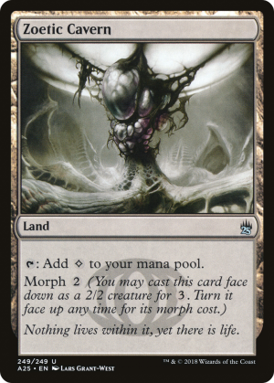 16964263-61fc-40f2-b206-4f69060affba Zoetic Cavern