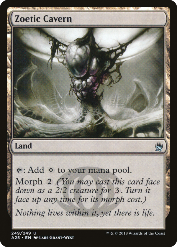 16964263-61fc-40f2-b206-4f69060affba Zoetic Cavern