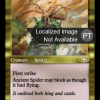 Ancient Spider