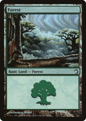 17e5f194-5148-4991-9f75-750cb3e41c62 Forest
