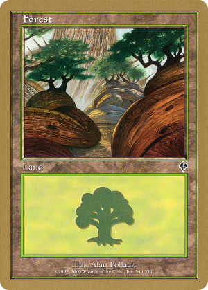 192ac805-deb4-4275-8473-01b5abb7b385 Forest