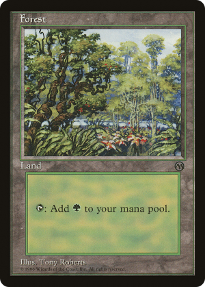 19aee1cd-4314-44f4-8357-fc300a6fc046 Forest