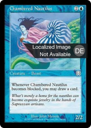 19ca9d7d-a0a3-41ef-8363-22529dee80a7 Chambered Nautilus