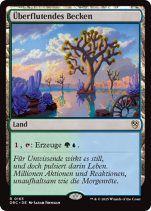 19d44620-9025-4361-92ce-d9f02edd1efe Overflowing Basin