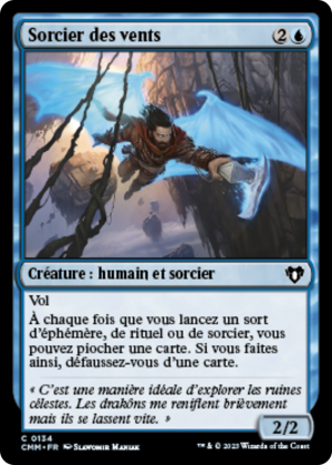 19df8618-87fb-4834-a061-ffe8a2f12d8d Windrider Wizard