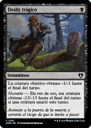 1a17ec78-40bb-4c88-8b13-45d9c6e2a0a0 Tragic Slip