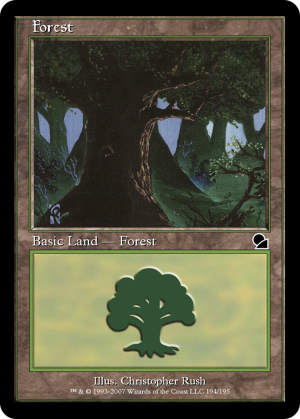 1a51949e-9031-4700-8366-a307e8f012fe Forest